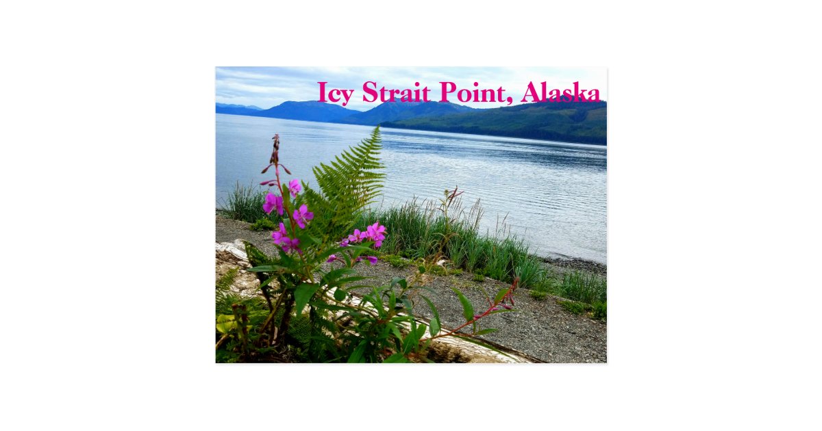 Icy Strait Point, Alaska Postcard | Zazzle.com