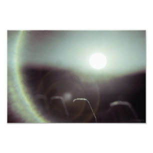 Icy Sun by Alexandra Cook Photo Print