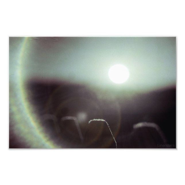 Icy Sun by Alexandra Cook Photo Print (Front)