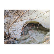 Icy Winter Melt