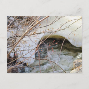 Icy Winter Melt Postcard