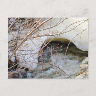 Icy Winter Melt Postcard