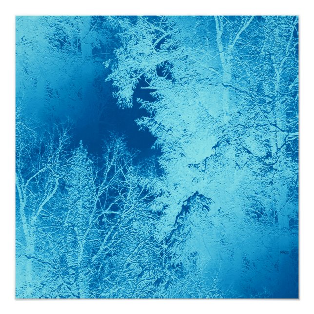 Icy Winter... Poster (Front)