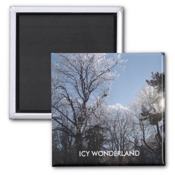 Icy Wonderland 4 Seasons Magnet by Dmargie1029 at Zazzle
