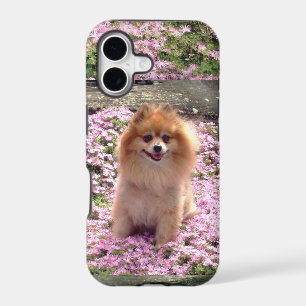 ID/Credit Card iPhone 5 Pomeranian Pink Flowers 17 Case