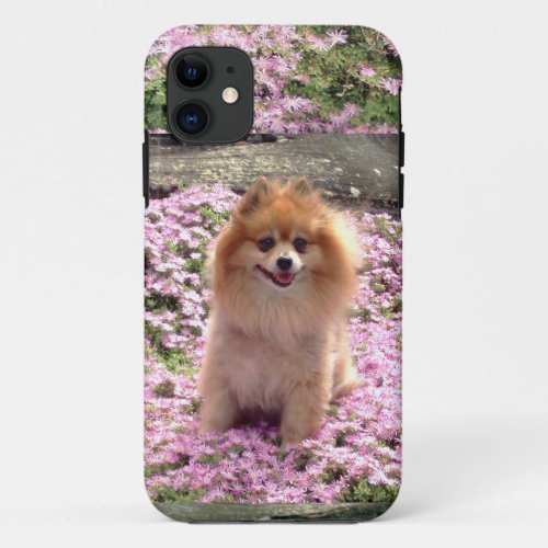 IDCredit Card iPhone 5 Pomeranian Pink Flowers iPhone 11 Case