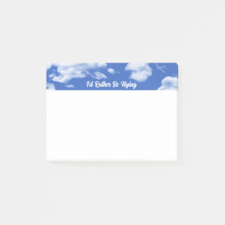 "I'd Rather Be Flying" Sky Plane Notes