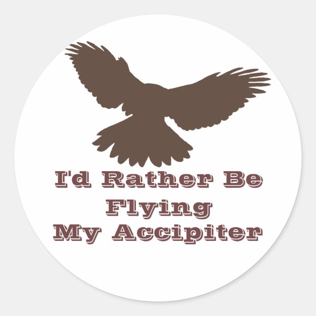 I'd Rather be Flying stickers (Front)