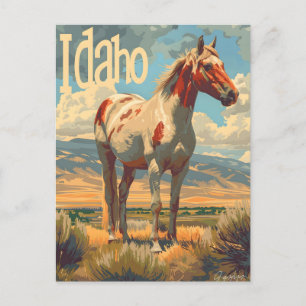 Idaho Appaloosa Horse Postcard