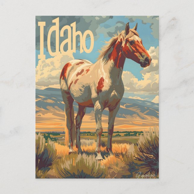 Idaho Appaloosa Horse Postcard (Front)