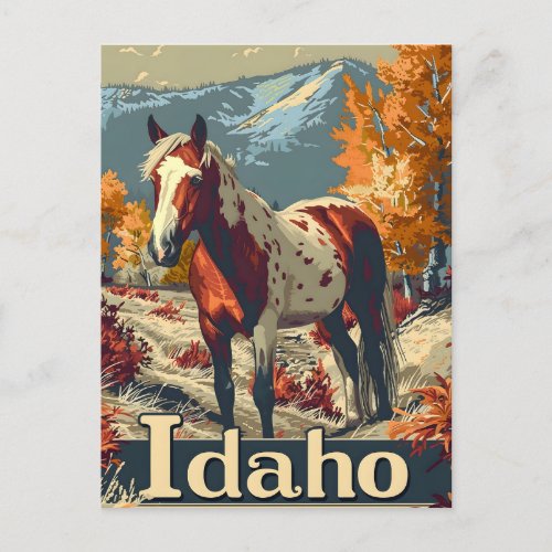 Idaho Appaloosa horse Postcard