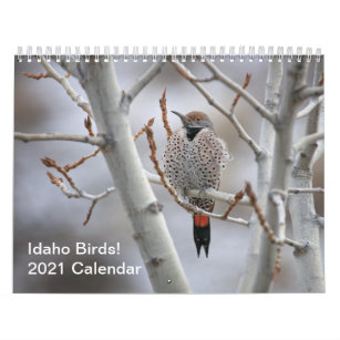 Idaho Birds! 2021 Calendar