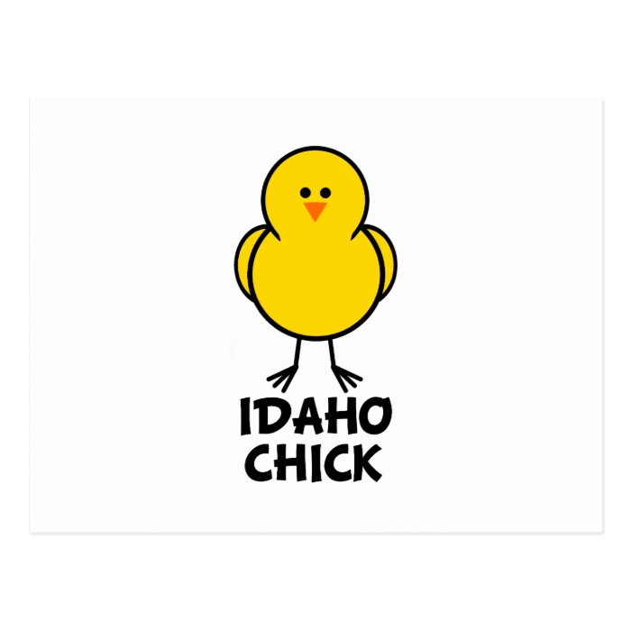 Idaho Chick Postcard