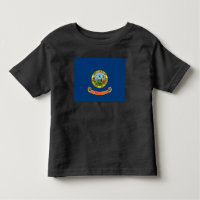 Idaho Flag: the Gem State, America Mountain West