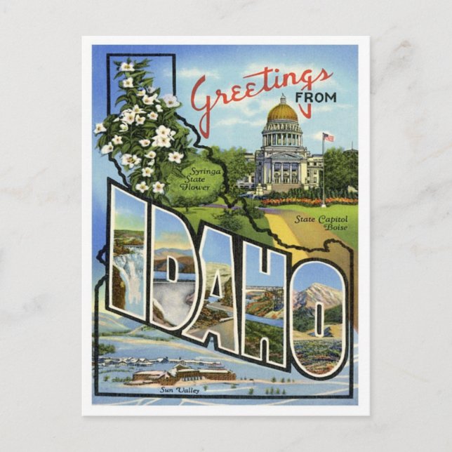 Idaho Greetings From US States Postcard (Front)