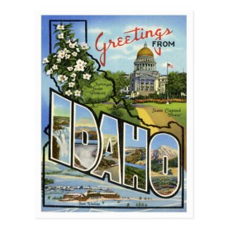 Idaho Greetings From US States Postcard