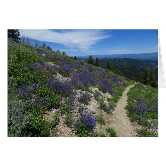 Idaho Mountain Hiking Trail Cards (Front Horizontal)