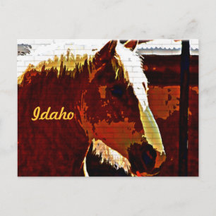 Idaho, Sorrel Horse In Profile Postcard