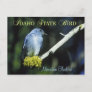 Idaho State Bird - Mountain Bluebird Postcard