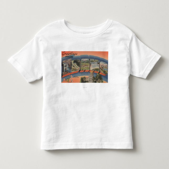 Idaho (State Capital/Flower) - Large Letter Toddler T-shirt (Front)