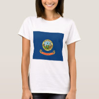 Idaho State Flag