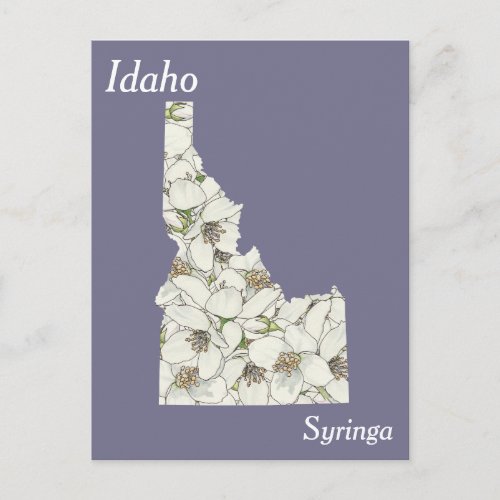 Idaho State Flower Collage Map Postcard