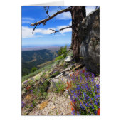 Idaho Wild Flowers (Front)