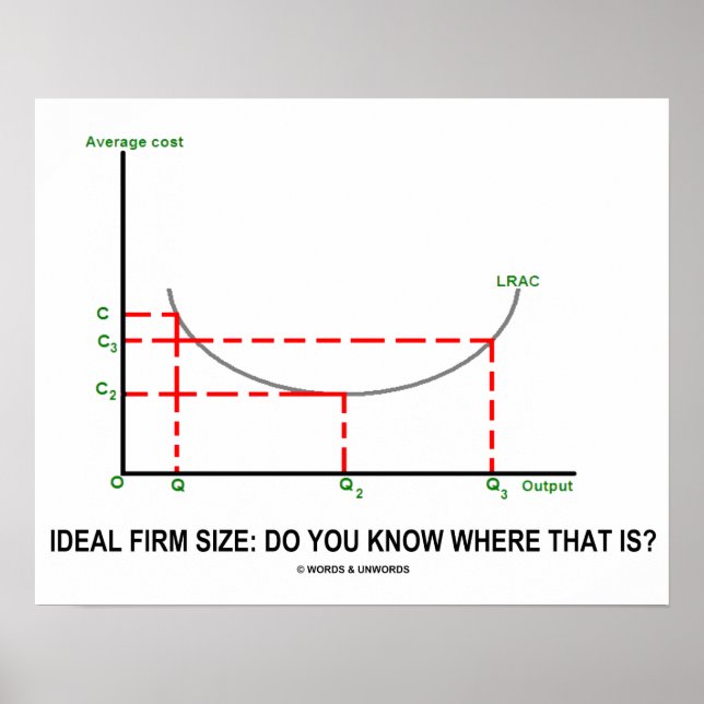 Ideal Firm Size: Do You Know Where That Is? Poster (Front)