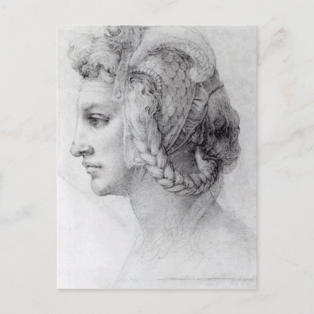 Ideal Head of a Woman, c.1525-28 Postcard (Front)