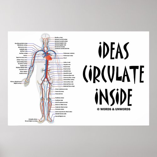 Ideas Circulate Inside Circulatory System Poster