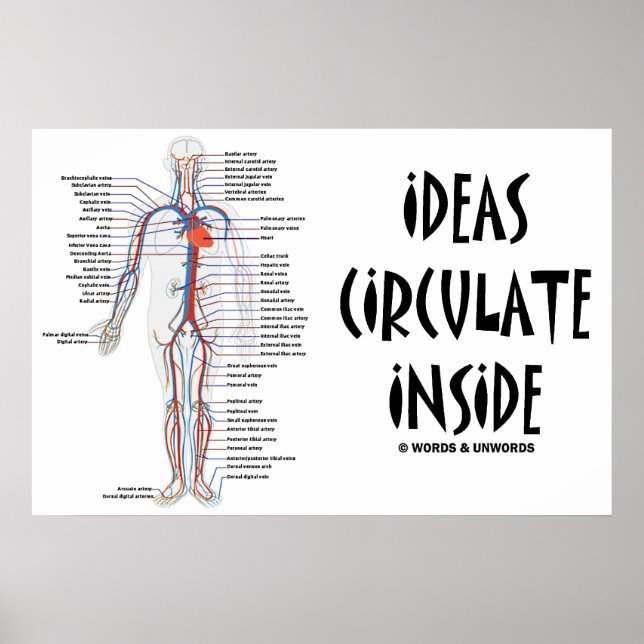 Ideas Circulate Inside (Circulatory System) Poster (Front)