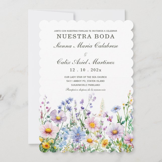 Ideas de Boda de Terracota en Español Invitation (Front)