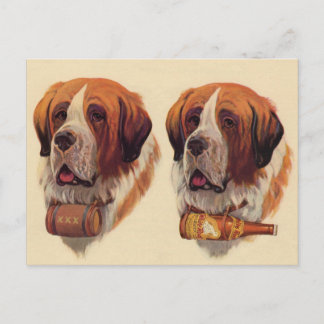 identical twin St. Bernard dogs Postcard