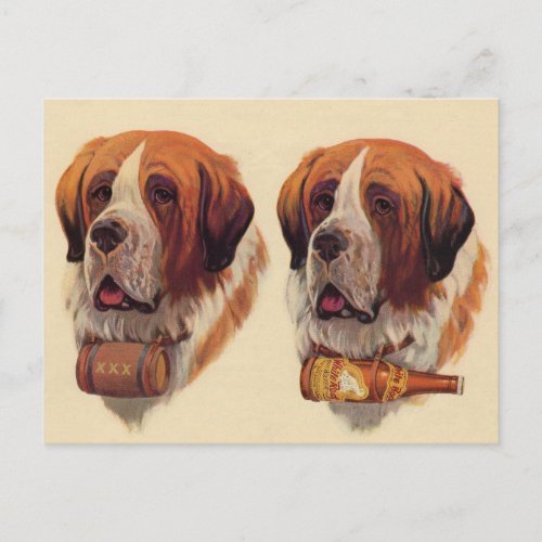 identical twin St Bernard dogs Postcard