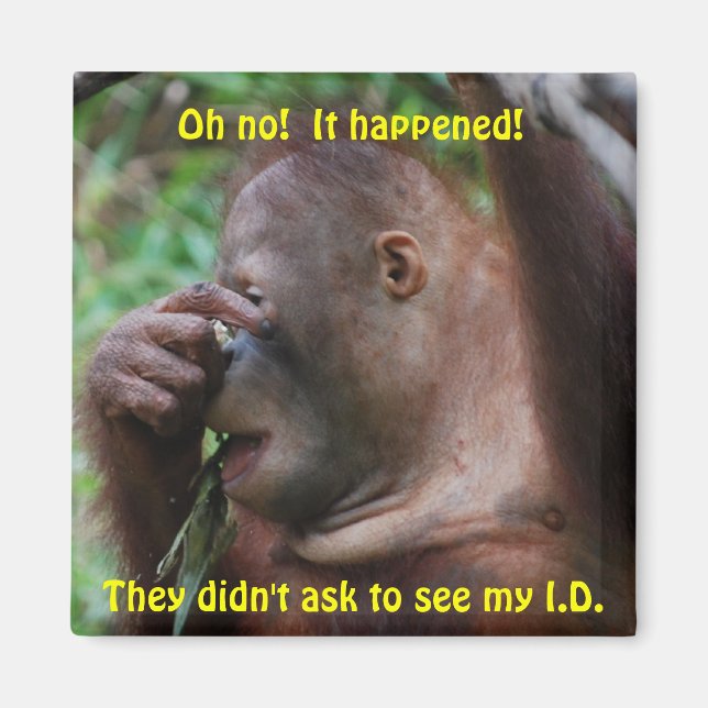 Identification Magnet (Front)