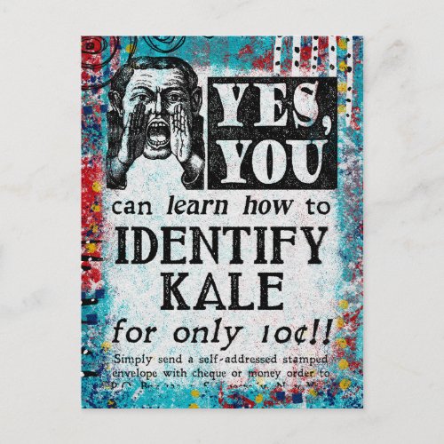 Identify Kale _ Funny Vintage Ad Postcard