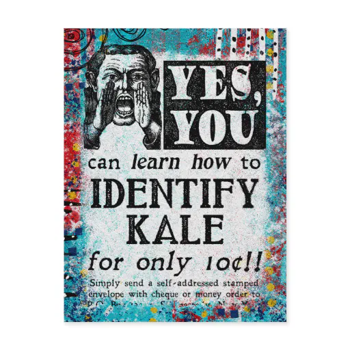 Identify Kale - Funny Vintage Ad Postcard