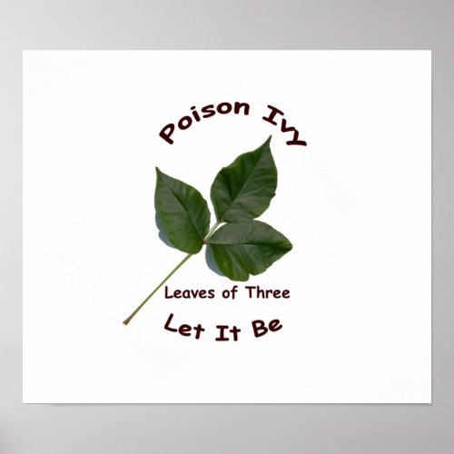 Identify Poison Ivy Poster