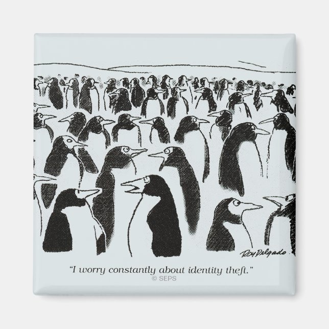 Identity Theft Magnet (Front)