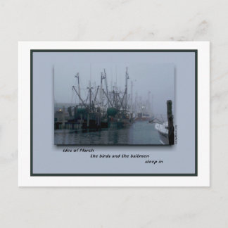 Ides of March Postcard