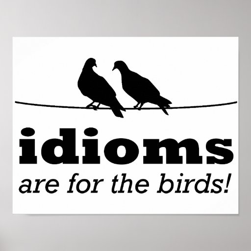 Idioms Are For The Birds Funny Poster Sign Grammar | Zazzle