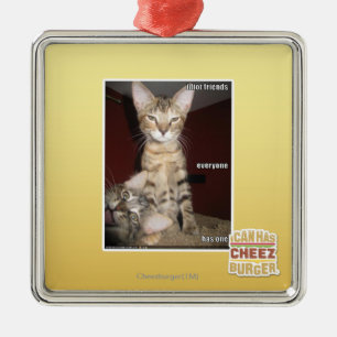 Idiot Friends Metal Ornament