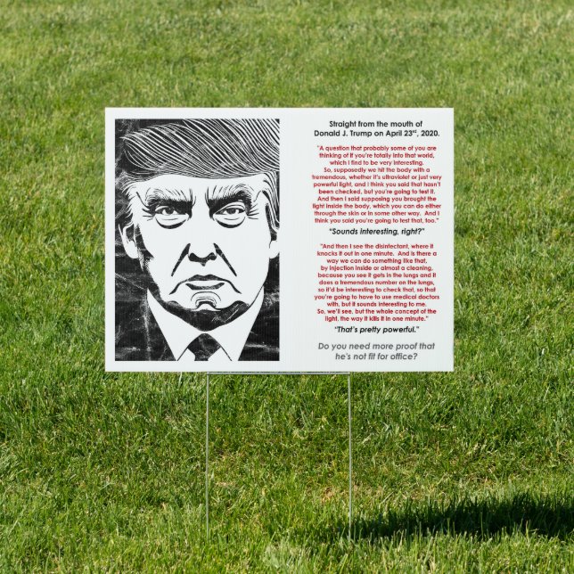 IDIOTIC TRUMP QUOTE SIGN (Insitu)