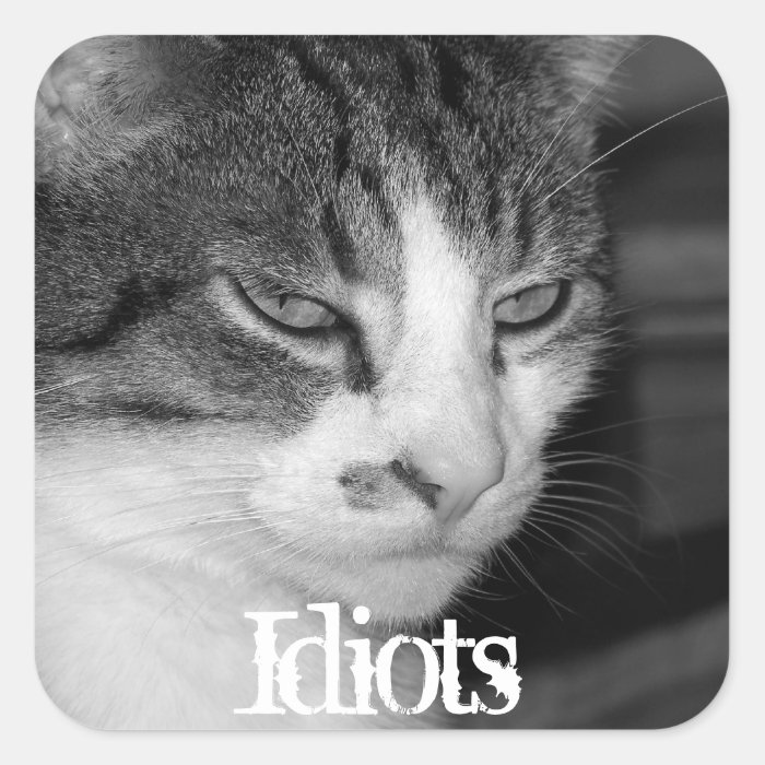 "Idiots" Crabby Cat Magnet Square Stickers