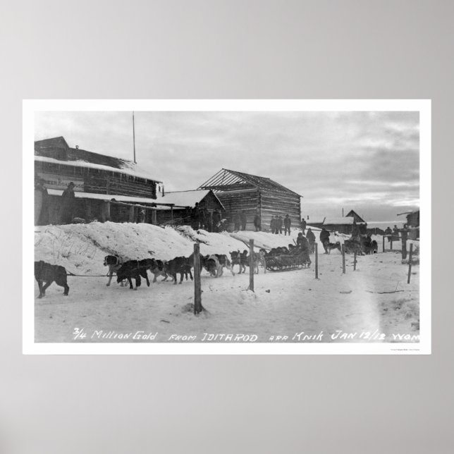Iditarod Alaska Birdseye 1914 Poster (Front)