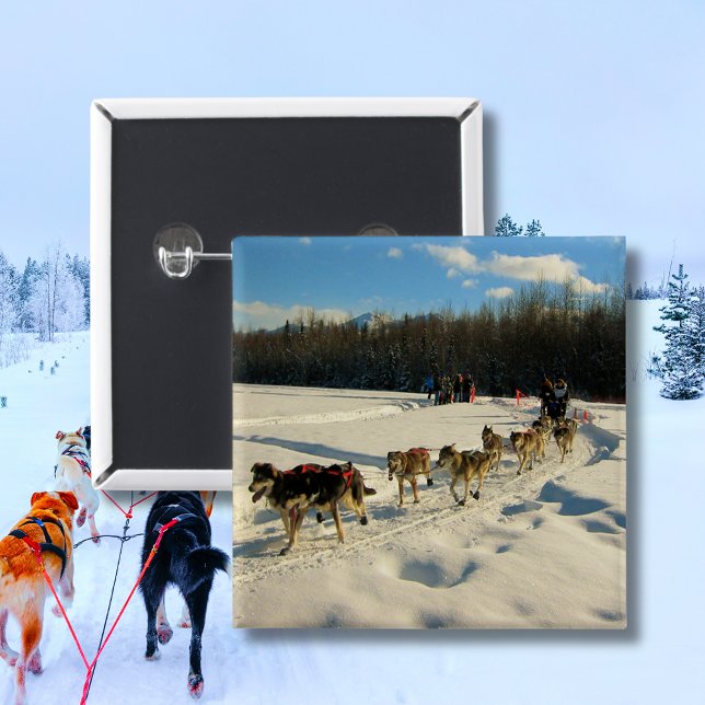 Iditarod Trail Sled Dog Race Button (Iditarod Trail Sled Dog Race Button)