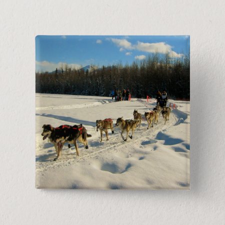 Iditarod Trail Sled Dog Race Button