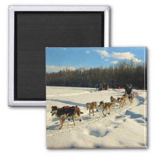 Iditarod Trail Sled Dog Race Magnet