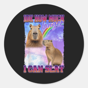 Idk How Much Longer I Can Slay Capybara Classic Round Sticker