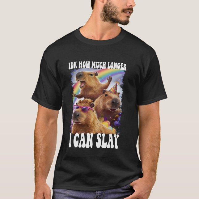 Idk How Much Longer I Can Slay Capybara Funny Meme T-Shirt (Front)